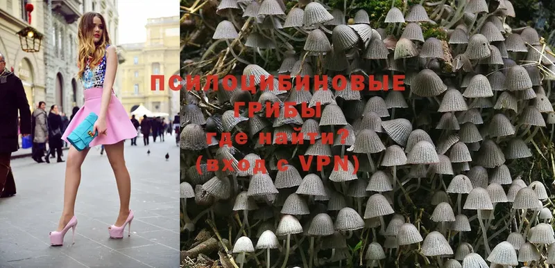 Галлюциногенные грибы Magic Shrooms  ссылка на мегу зеркало  Нытва 